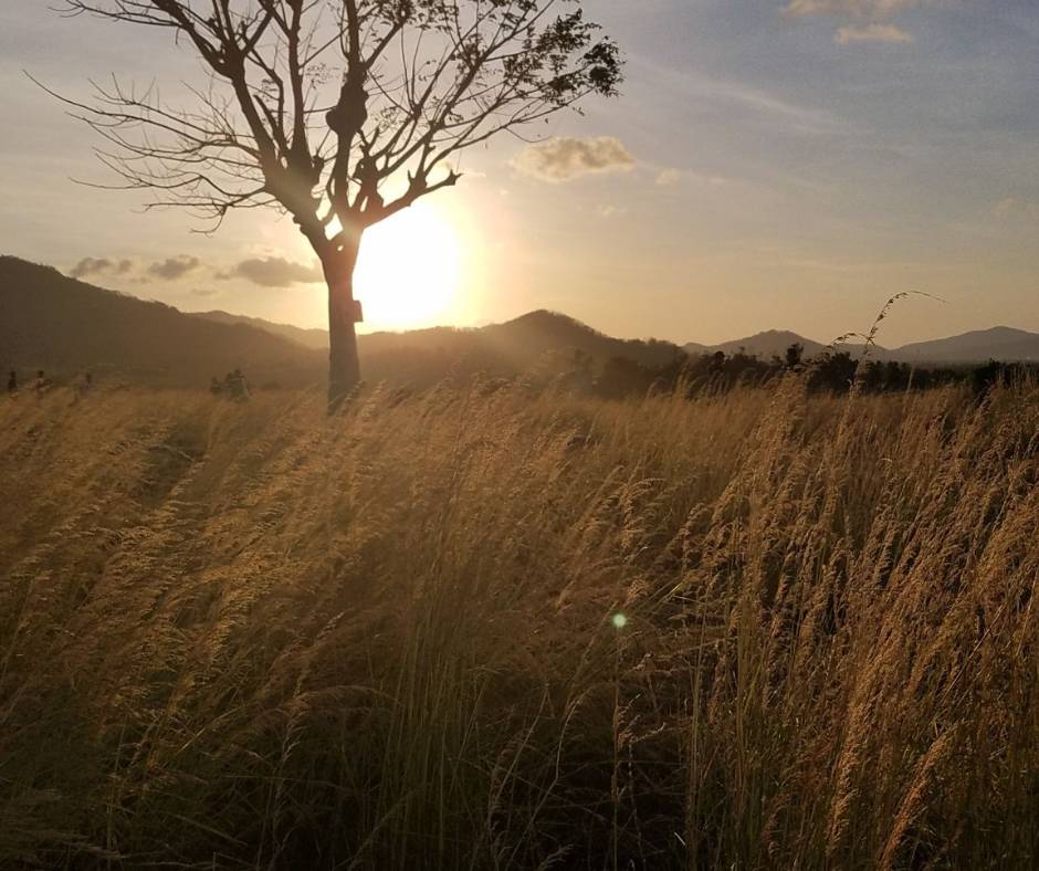 Wisata Ilalang, Salah Satu Wisata Baru Yang Terdapat Di Kabupaten Lombok Barat
